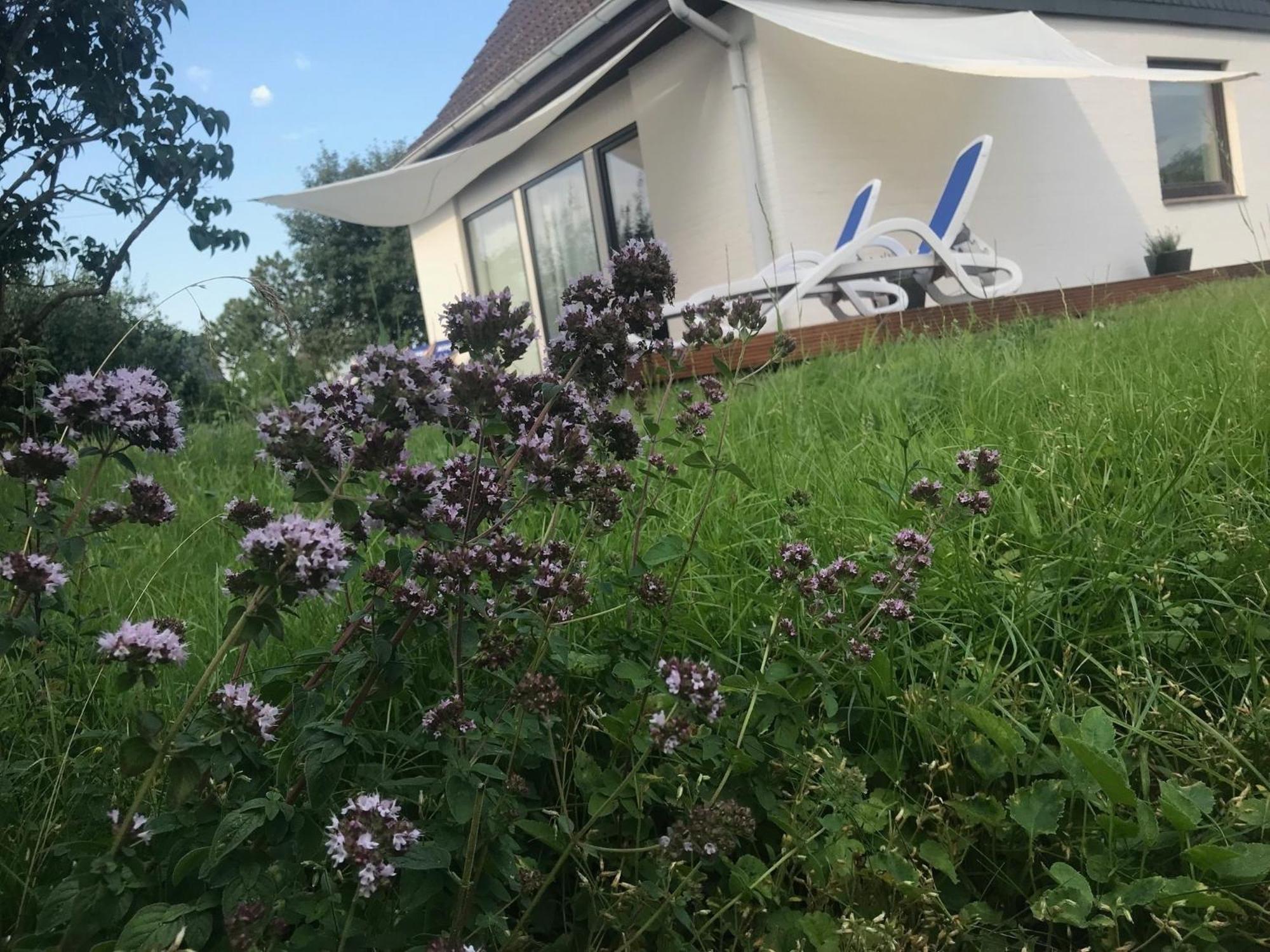 Casa Marcu Wohnung 2 Eg Landkirchen Luaran gambar